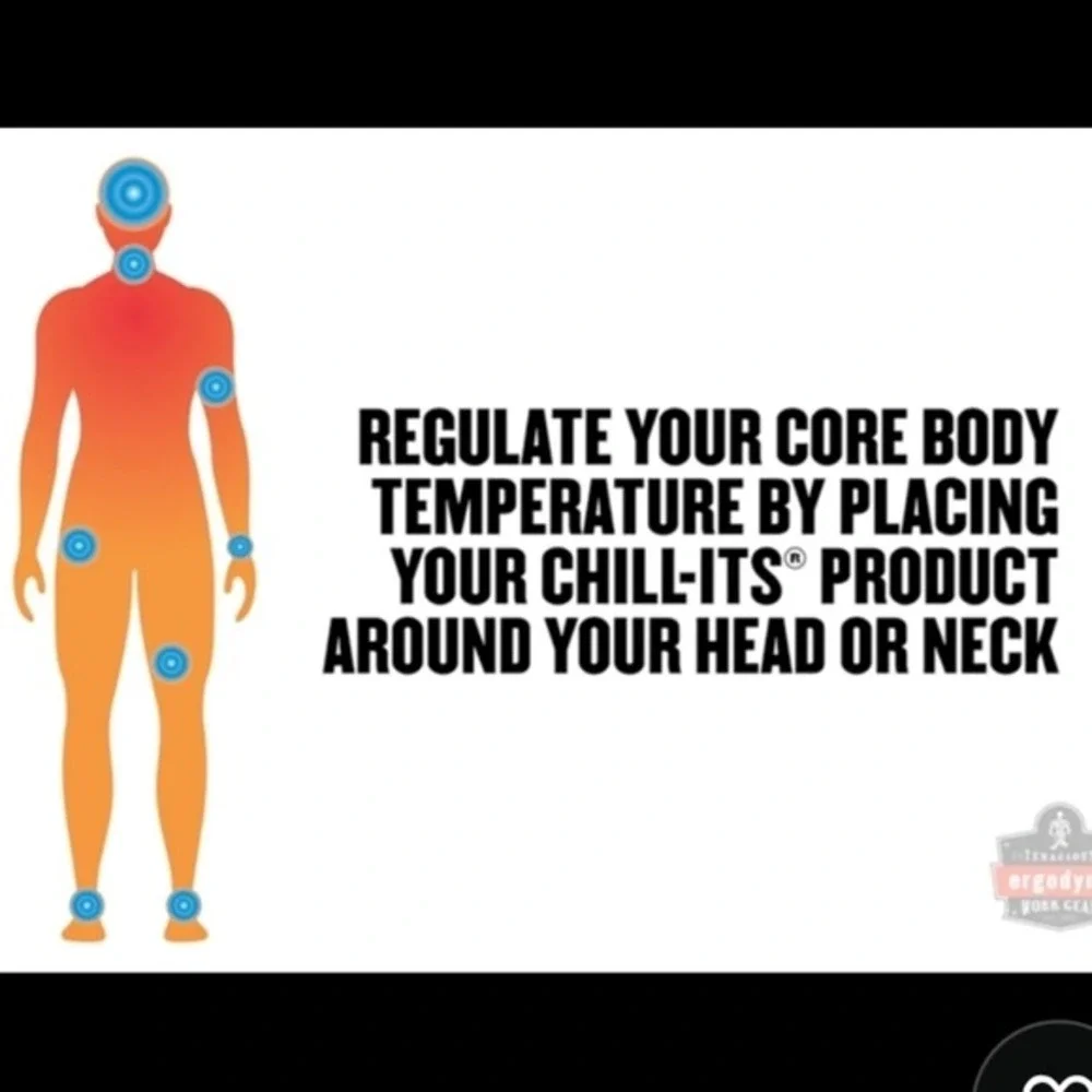Ergodyne work gear